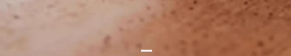 565f723fd726274d.jpg