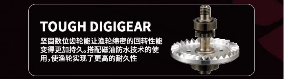 d4856161ba2702fe.jpg
