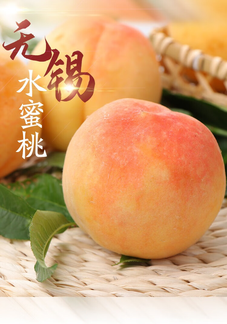 白凤水蜜桃品种介绍图片