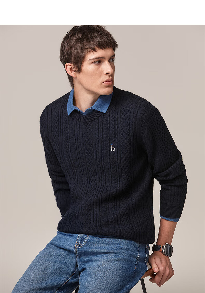 HAZZYS Men's Autumn Winter Casual Cable Knit Crew Neck Cotton/Wool Blend Sweater ABYZD0CCX30 6