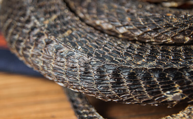 中药材乌梢蛇 四川乌蛇精选整条乌蛇干乌蛸蛇泡酒500g现货 00g现货