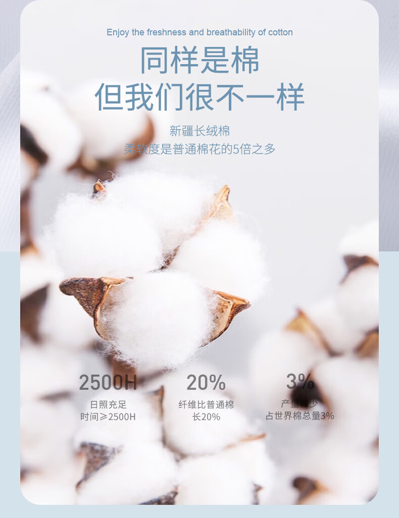 97a1f4a902636c60.jpg