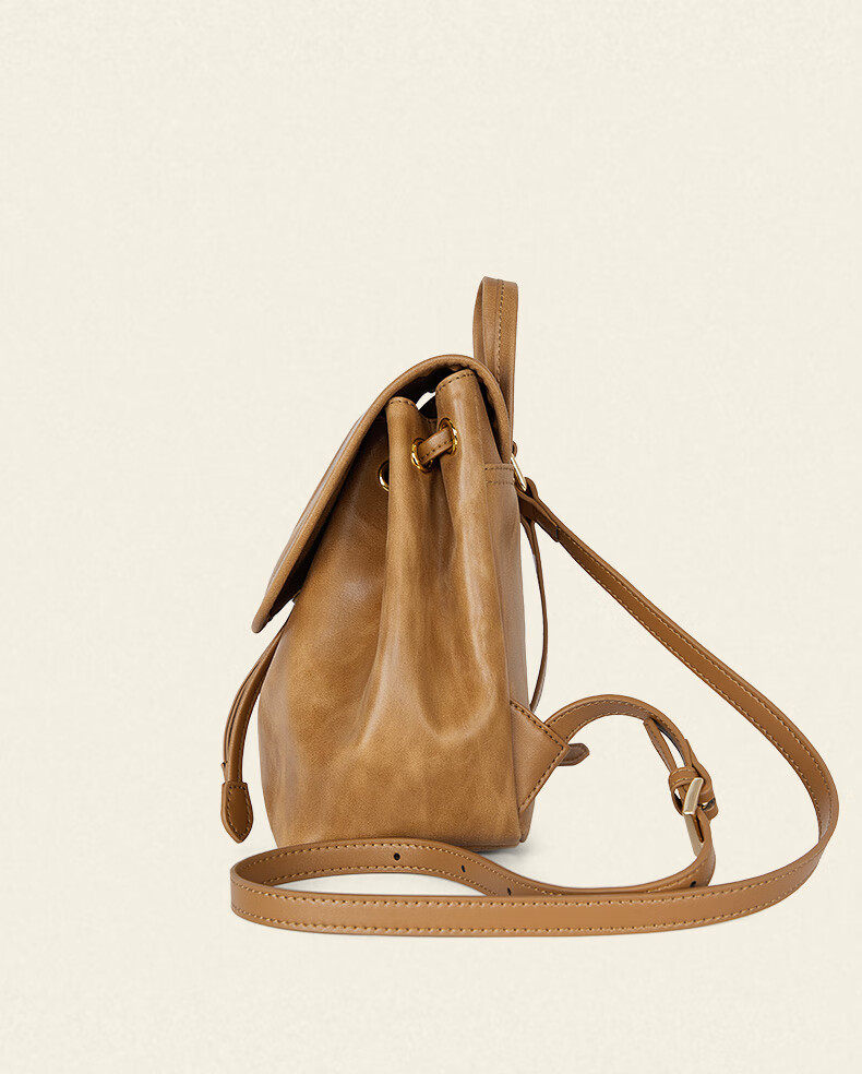 CASSILE Women's Handbag Backpack, Genuine Leather Commuter Tote Bag, 520 Gift 17