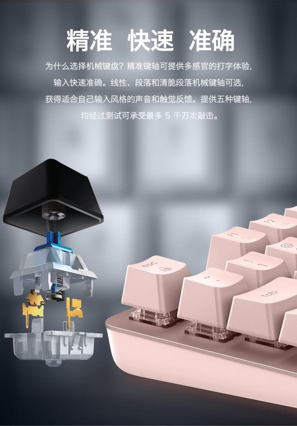 ab3d25f6891de9cf.jpg