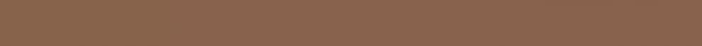 a87b4eb9e597b298.jpg