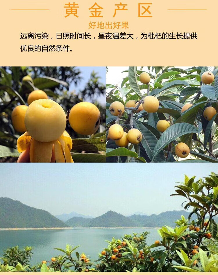 3a3a8304d1161859.jpg
