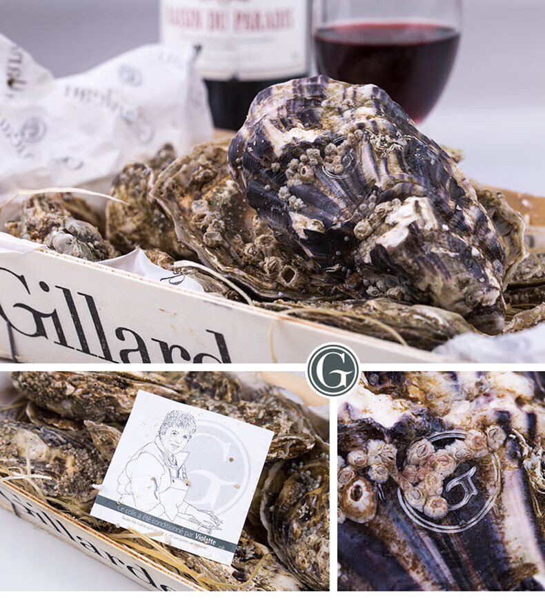 旗舰店gillardeau吉娜朵生蚝法国生蚝空运鲜活即食生蚝24只进口刺身
