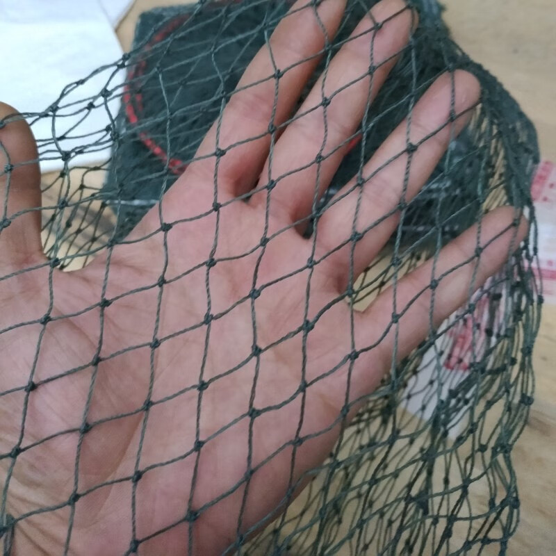 鱼笼地网虾笼龙虾网养殖户专用大网眼抓大留小虾网加粗有结网螃蟹网