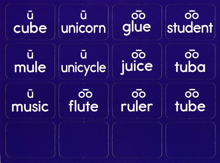 scholastic learning mats long vowels 学乐教具 长元音学习卡片