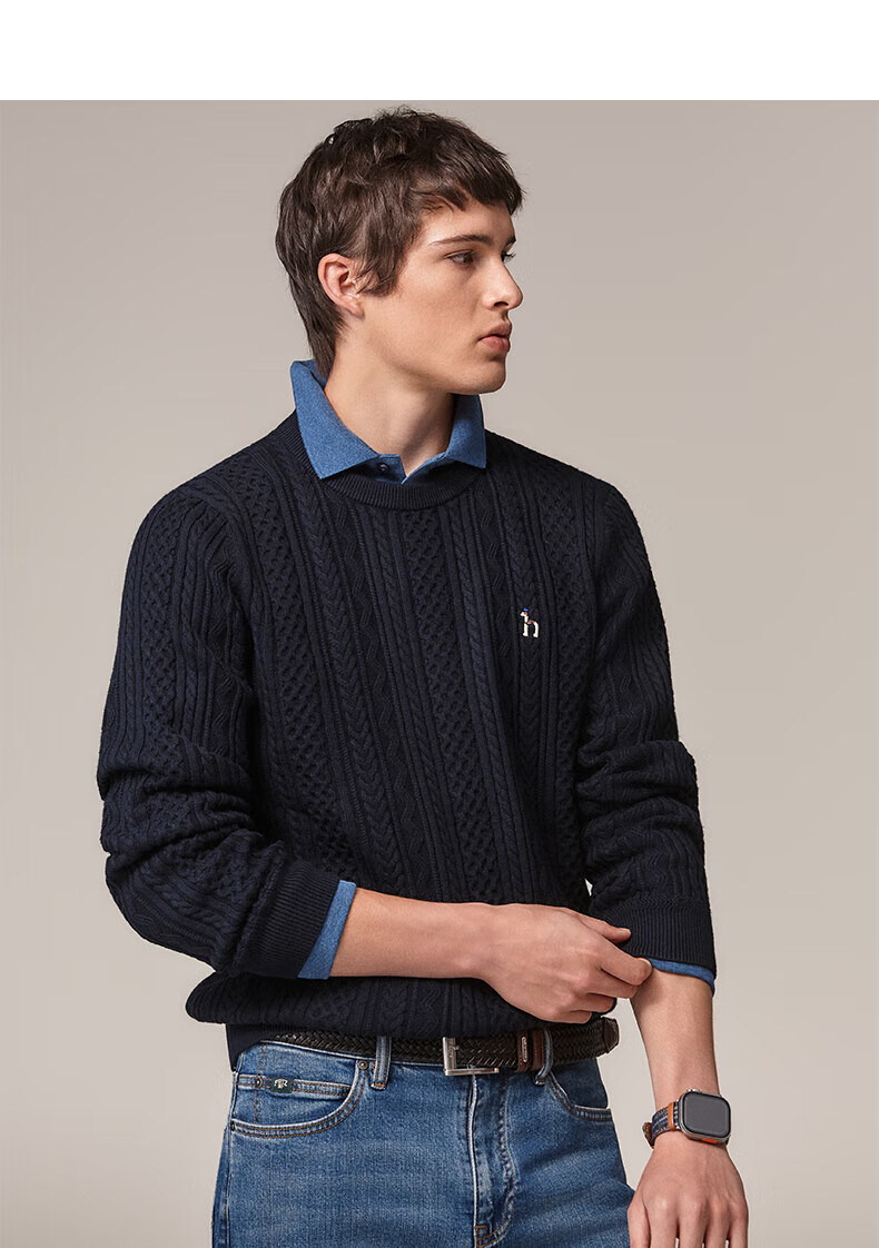 HAZZYS Men's Autumn Winter Casual Cable Knit Crew Neck Cotton/Wool Blend Sweater ABYZD0CCX30 7