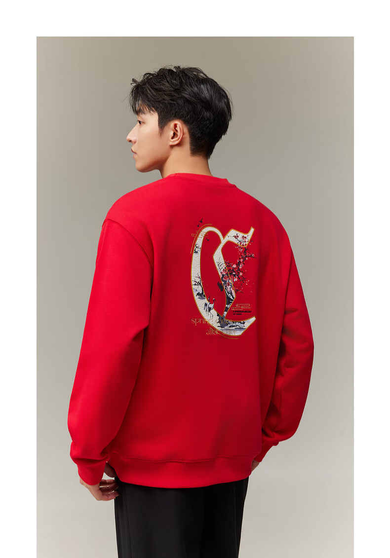 CABBEEN 340G Cotton Sweatshirt Men's Foaming Texture Printed Flash Line Embroidered Flower Winter Long Sleeve Sweatshirt 10