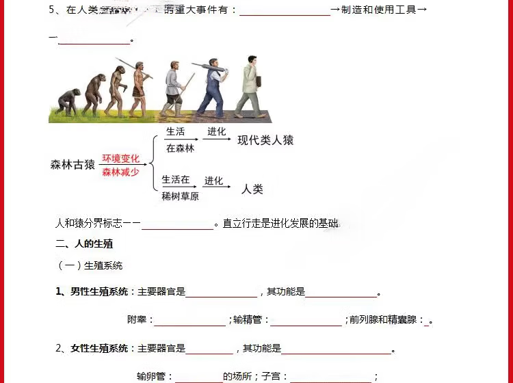 17806848403b13d3.png