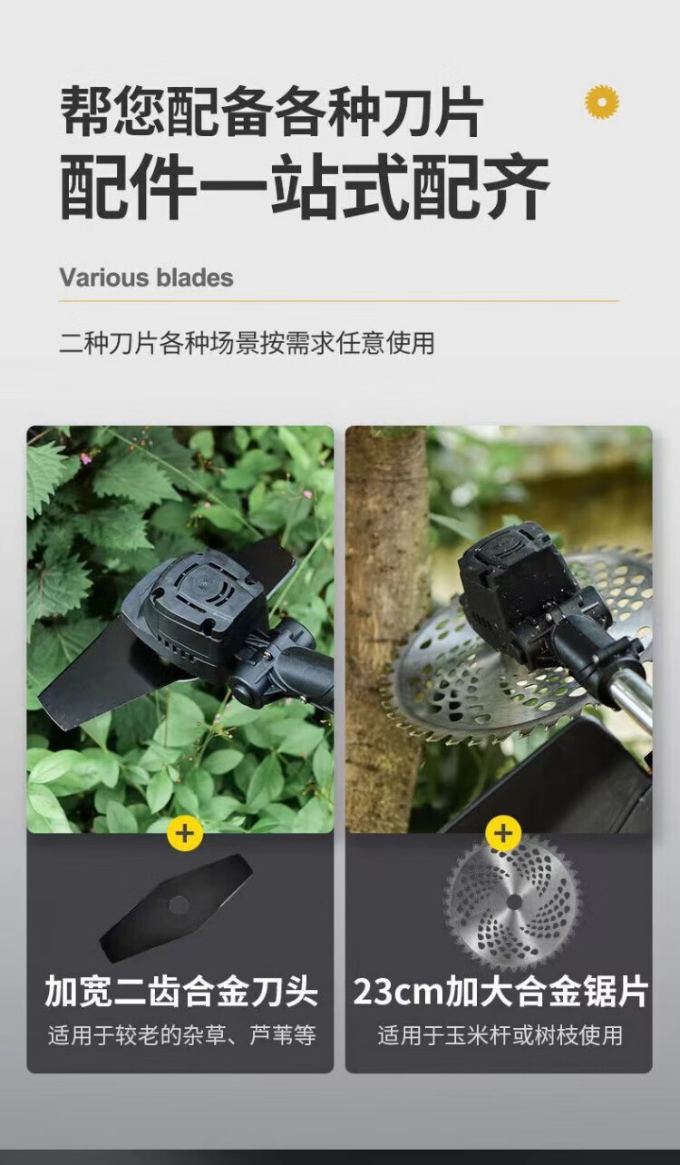 08a9cc73705434cb.jpg