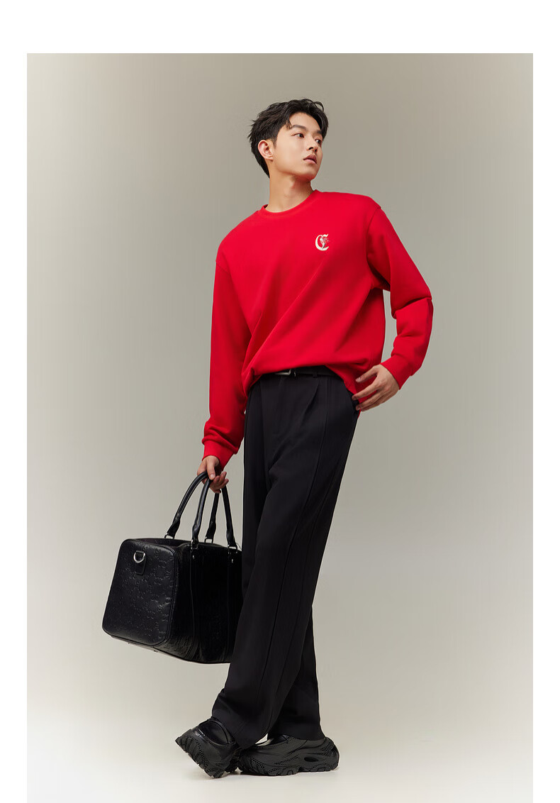 CABBEEN 340G Cotton Sweatshirt Men's Foaming Texture Printed Flash Line Embroidered Flower Winter Long Sleeve Sweatshirt 11