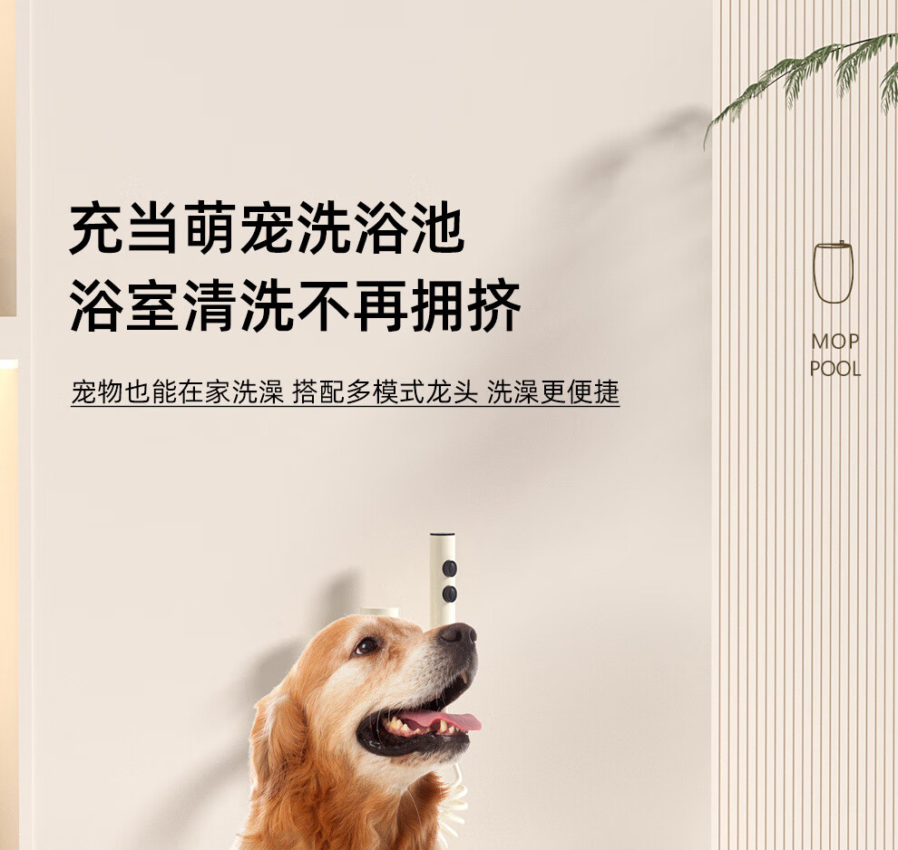 c81265e8a470137e.jpg
