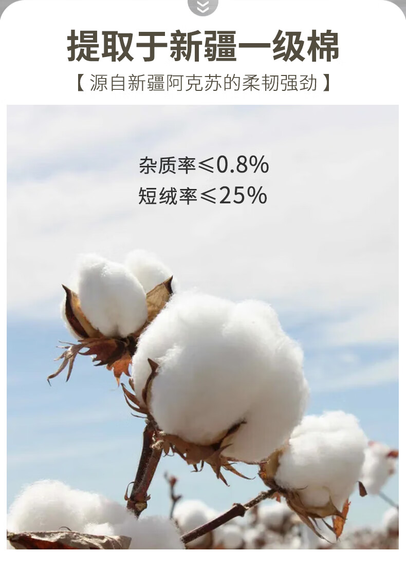 abd52c9616584568.jpg