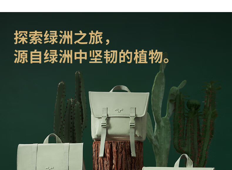 169759d9caa241bd.jpg