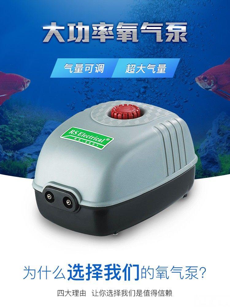 e207fa409c40e540.jpg