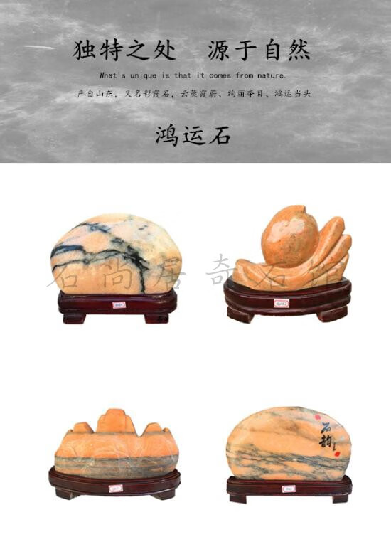 91be2dce43e7d489.jpg