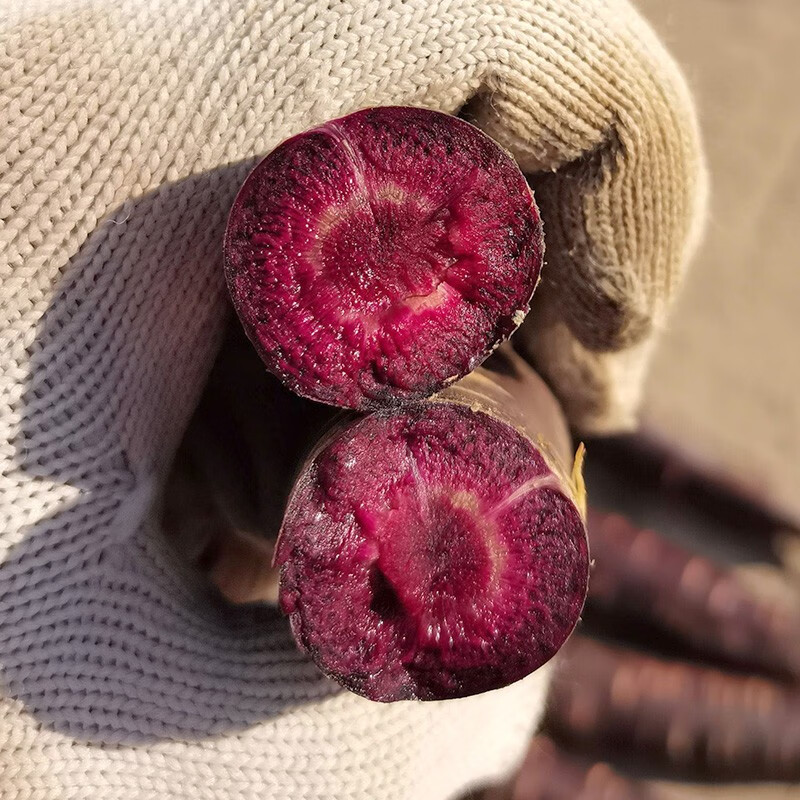 神禾 紫色胡萝卜种子四季种水果罗卜菜籽 艳紫胡萝卜种子 100粒简装