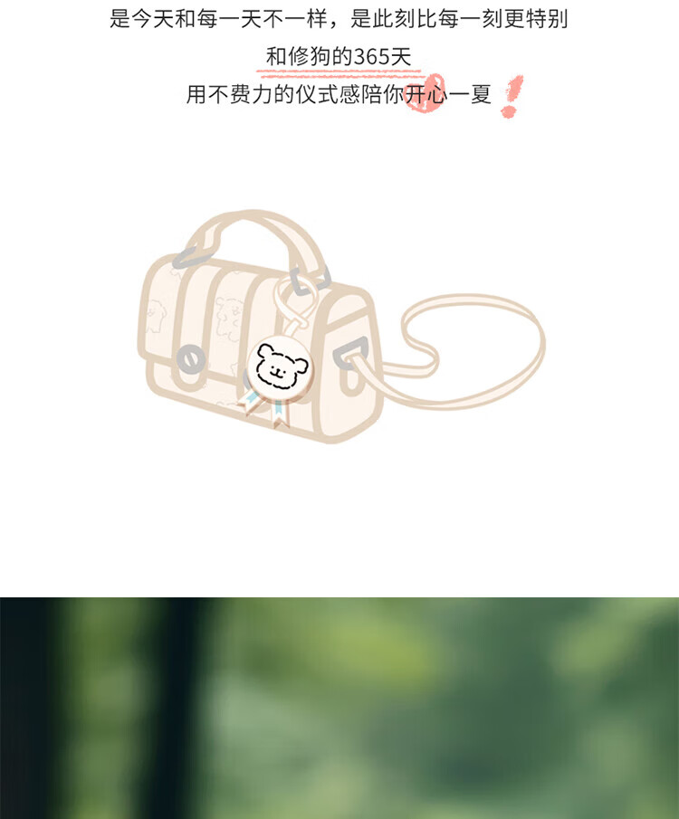 9cff1d6cd2377d17.jpg