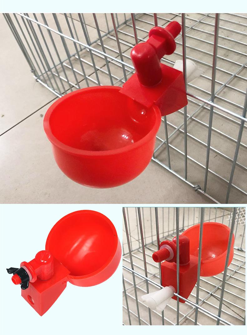 新型鸡鸭鹅家禽自动饮水碗饮水器喂鸽子水碗鸟饮水器鹌鹑养鸡养殖 6分