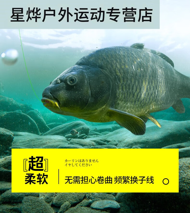 22cf9d0ec179e20d.jpg
