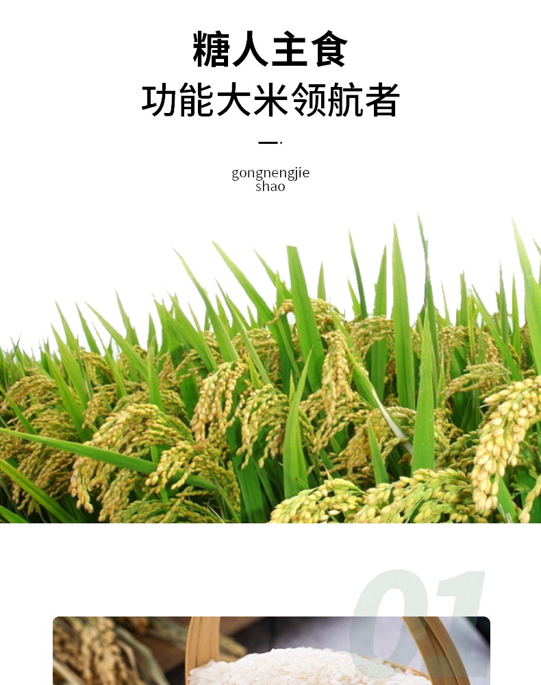 天健君 稳糖米低糖米大米糖尿人大米孕妇糖人专用主食缓升糖 非转基因