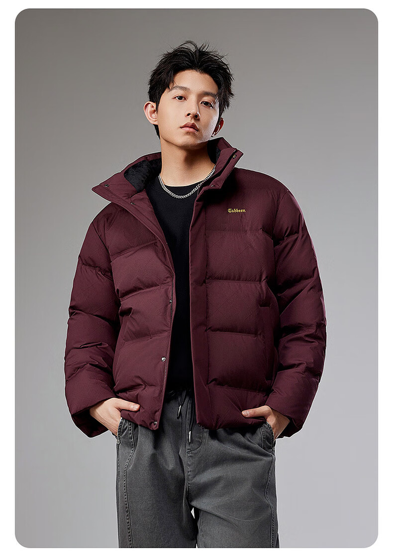 CABBEEN Men's Down Jacket with Nine-Grid Floral Pattern Channel Fabric, Textured Embossed Material, Winter Stand Collar Puffer Coat 9