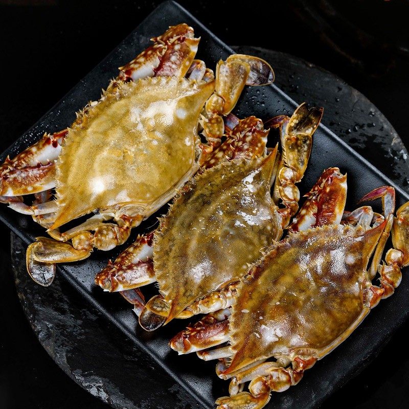 唐朝来客 冷冻梭子蟹鲜活螃蟹 活蟹生鲜青岛海捕鲜冻肉蟹海鲜水产 鲜