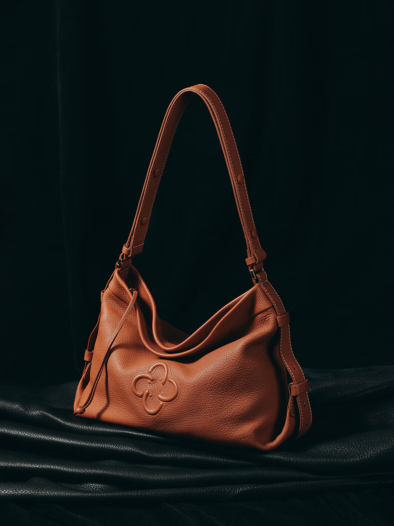 CASSILE Women's Handbag, Tote Bag, Genuine Deer Leather, Large Capacity, Luxury Shoulder Hobo Bag, 520 Gift 2