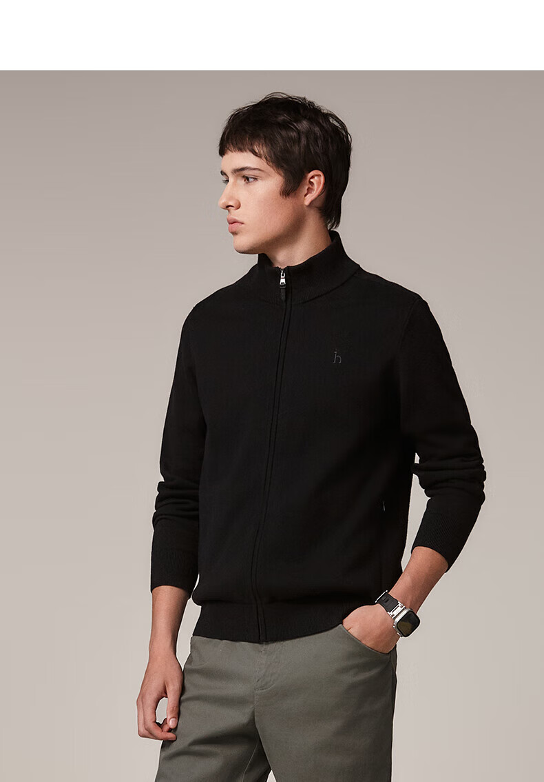 HAZZYS Men's Spring and Autumn Casual Stand Collar Zipper Pure Cotton Knit Cardigan ABYZD0CCX25 13
