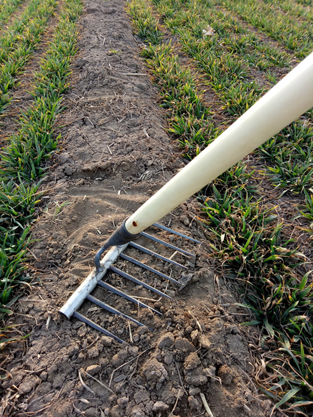 钉耙农具种菜松土大钉耙铁耙子草落叶耙园艺工具9齿钉耙农用赶海立式