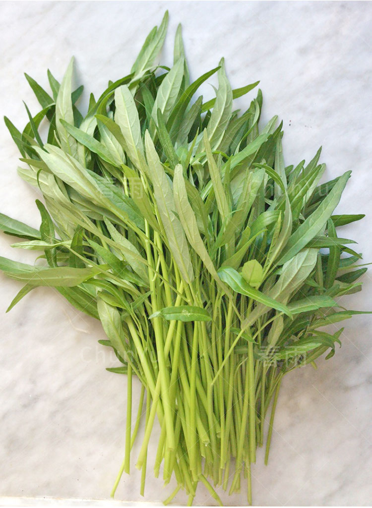 竹叶柳叶空心菜种籽水种空心菜通心菜四季春季春夏农家蔬菜种子 竹叶