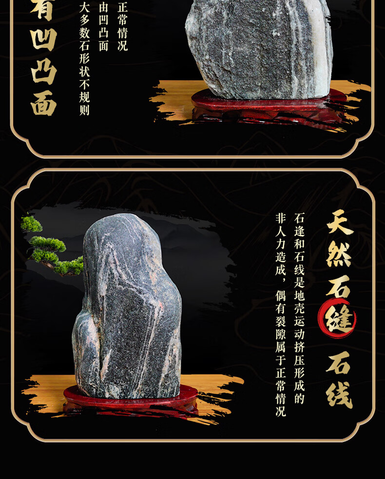 d02278f6cc9cc38f.jpg