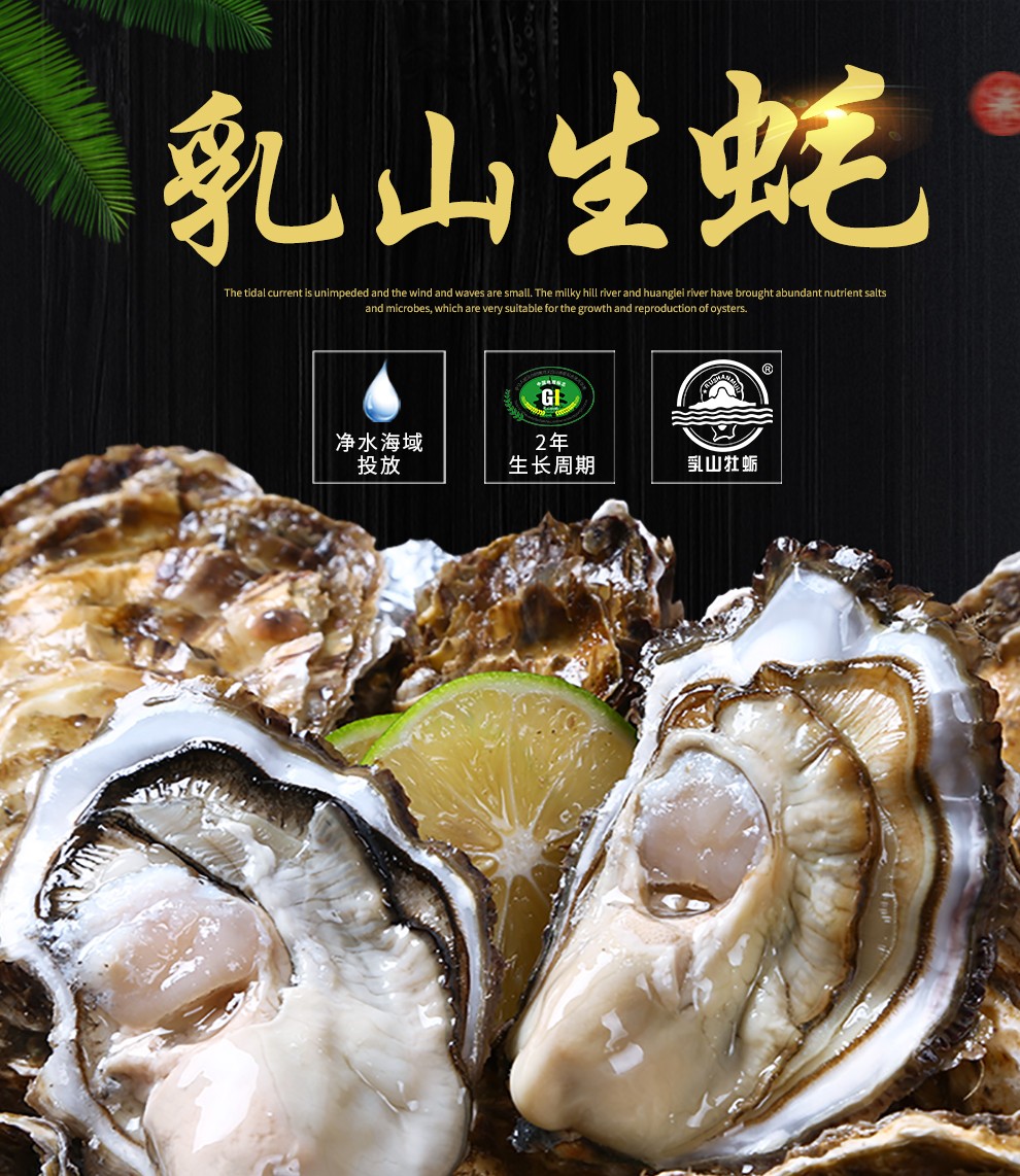 鲜活南泓村鲜活生蚝乳山生蚝海蛎子生鲜贝类刺身生蚝5kgd规格约28个