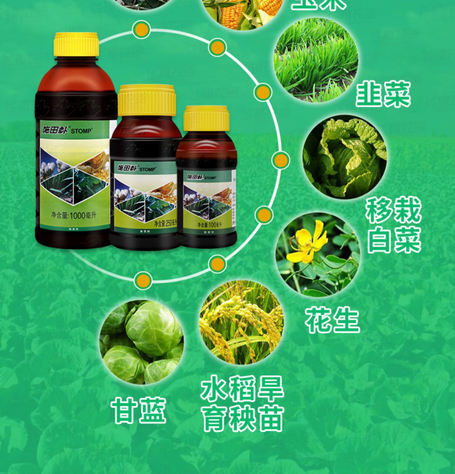 龙灯施田补二甲戊灵甘蓝花生韭菜玉米棉花田一年生杂草农药除草剂 250