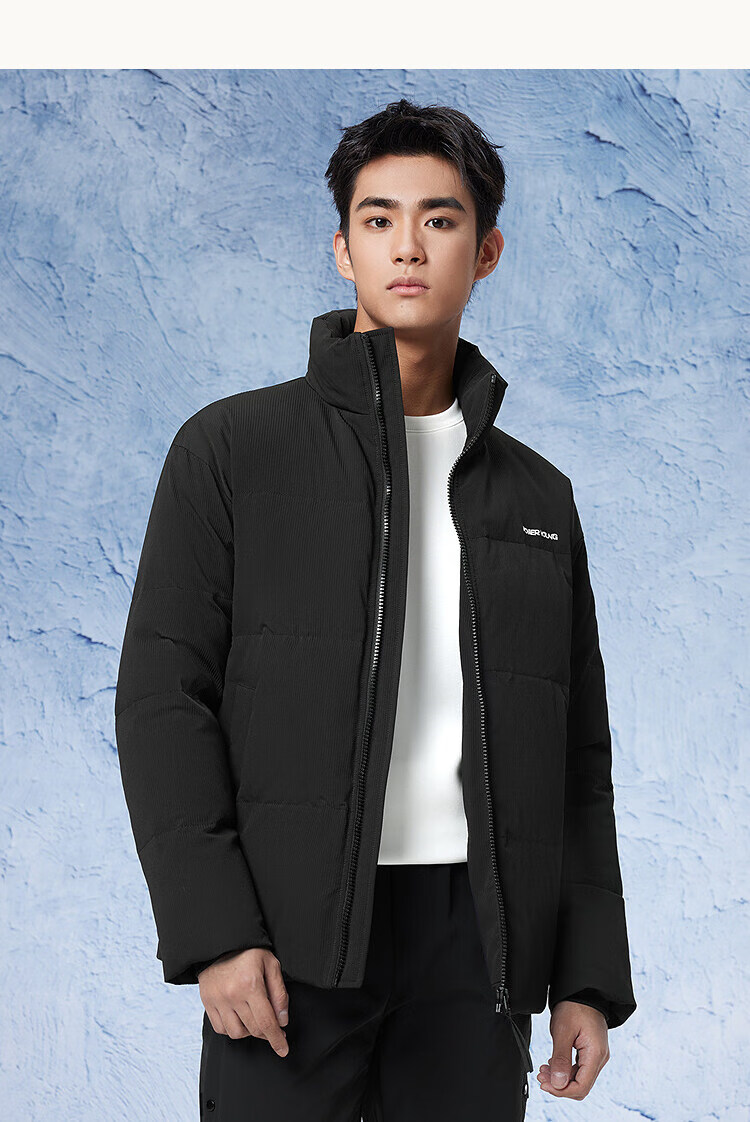 HLA Men's Stand Collar Down Jacket [90% High-Quality Down, 105-141g Fill Power] Winter Coat for Men 4