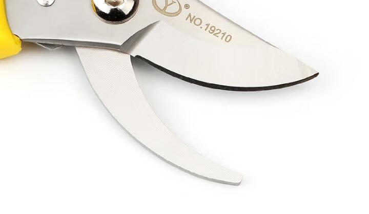 钢园林剪刀园艺修花剪修剪树枝果枝剪 家用强力剪子粗枝剪 sk-5合金钢