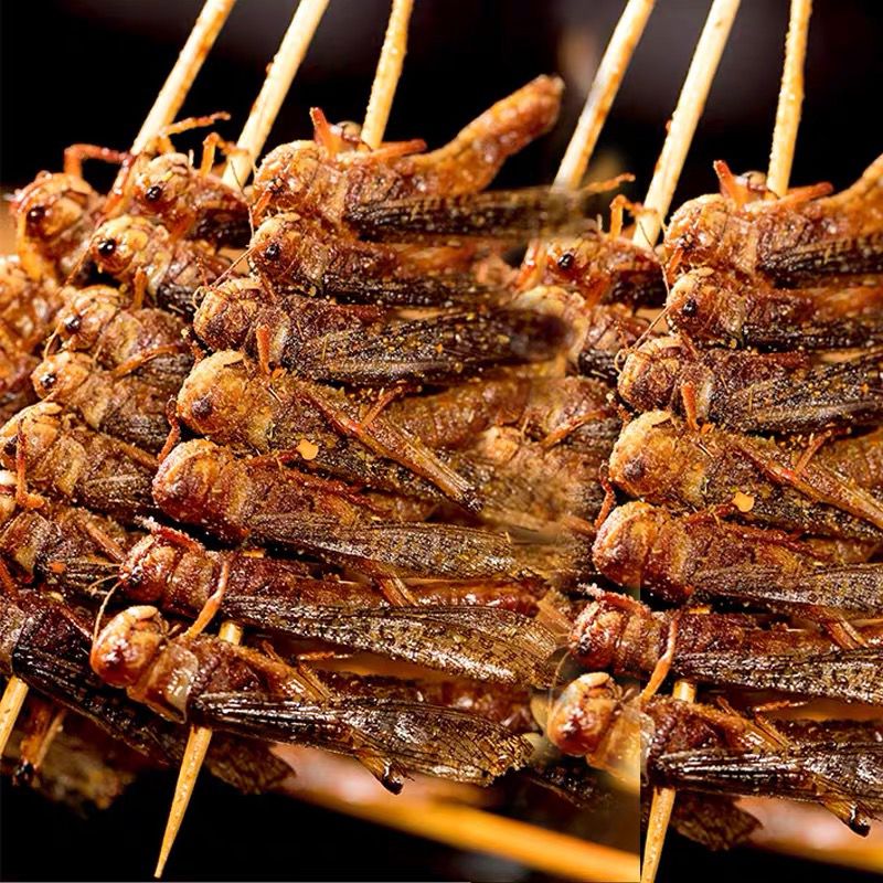网红蚂蚱串酥脆特色油炸小串昆虫蝗虫串20串一包商用烧烤油炸串【京闪