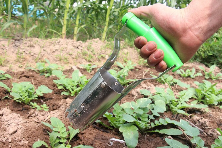 技良(jiliang) 手动工具大全播种打洞器移苗神器移苗器育苗播籽器种菜