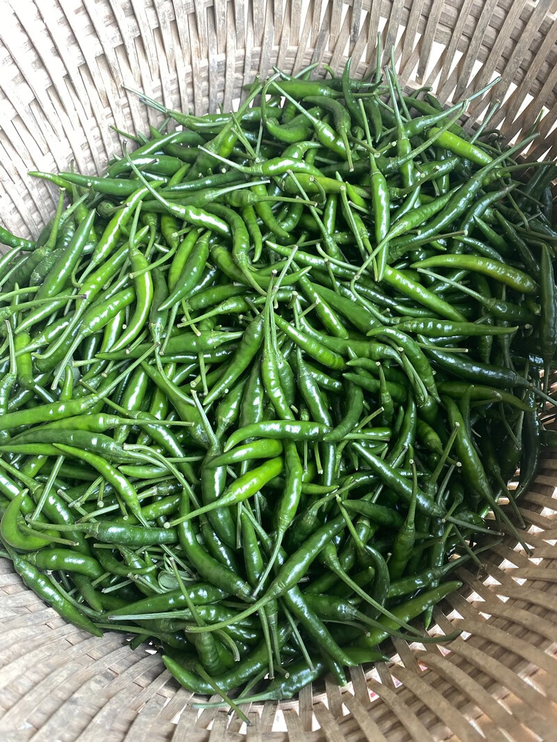 媚调重庆青米椒新鲜小米辣椒农家自种青朝天椒海椒尖椒剁椒特辣现摘 8