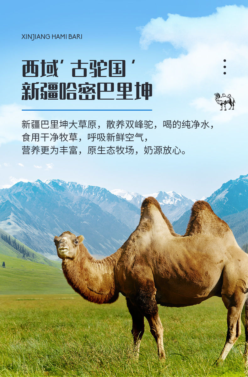 花旗华夏丝路骆驼奶粉 400克 骆驼奶粉新疆正宗成人中老年华夏丝路