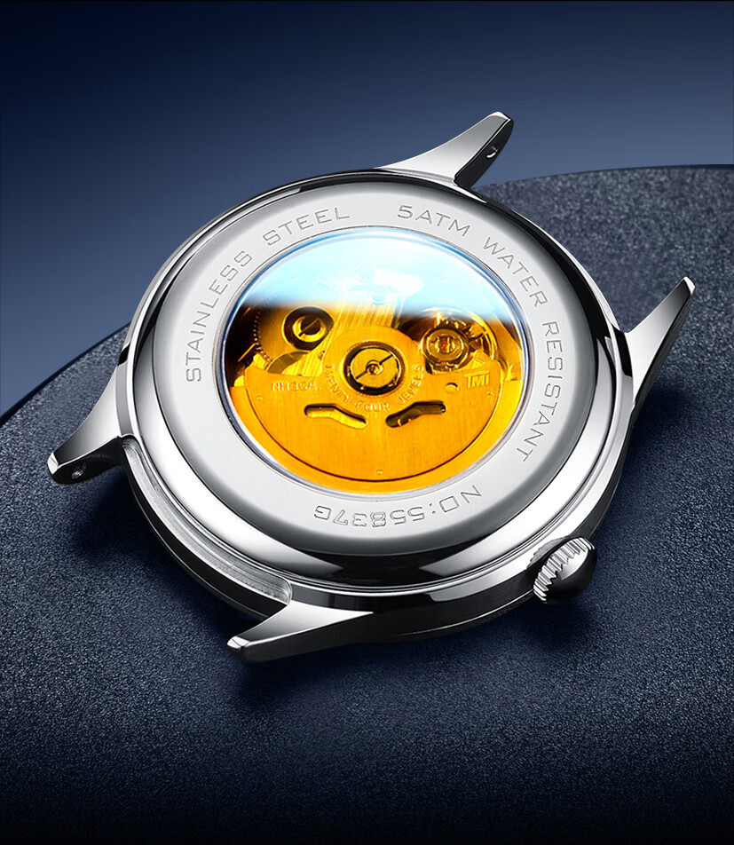 BINKADA Seagull Series Men's Mechanical Automatic Watch Top 10 Brand 2026 New Model 520 Gift 6