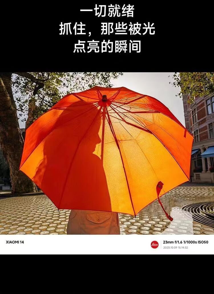 14bf9f19f83bb37d.jpg' style=