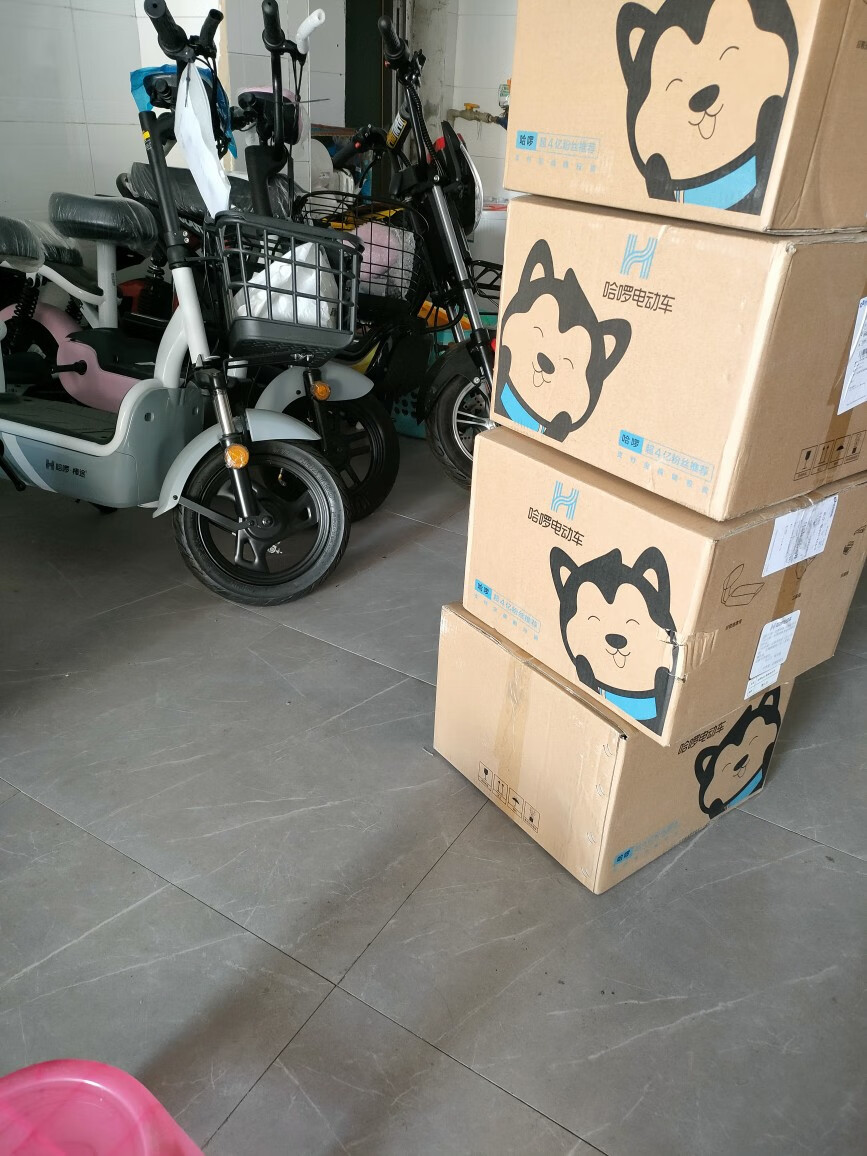 哈啰出行唐泽棒途充电器新国标铅酸充电器装厂配三竖 60伏20安(唐泽三