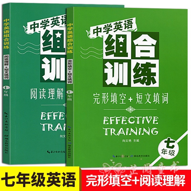 共2册中学英语组合训练七年级英语完形填空与阅读理解7年级英语强化上册下册合订全一册 向文艳 摘要书评试读 京东图书