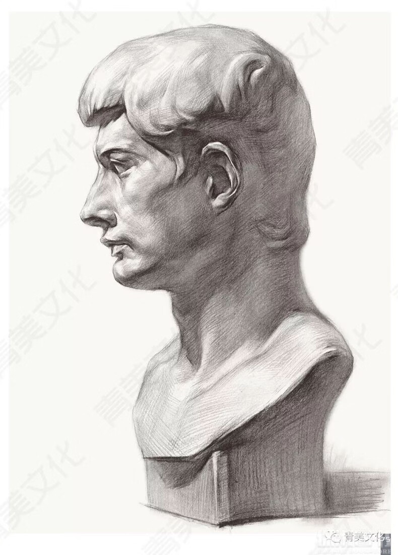 扎实素描石膏像2019青美文化程勇素描石膏五官头像结构明暗步骤解析