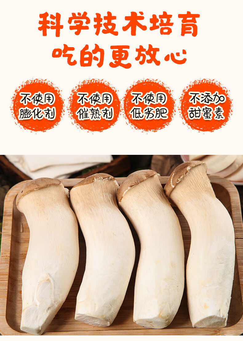 【现摘现发】杏鲍菇新鲜鸡腿菇火锅料理蘑菇蔬菜菌菇 5斤精选装【独立