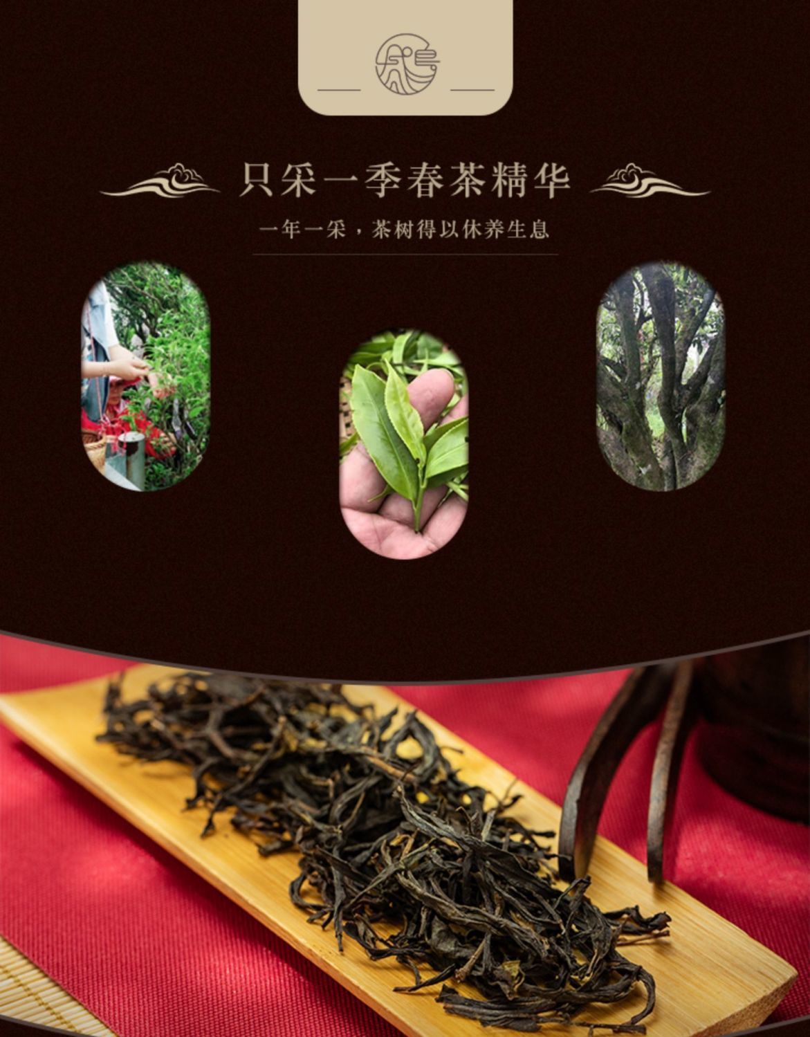 真茶甄选鸭屎香茶叶乌龙茶蜜兰香鸭屎香500g